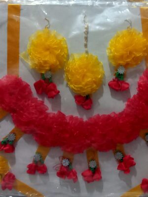 Haldi set
